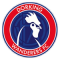 Dorking Wanderers